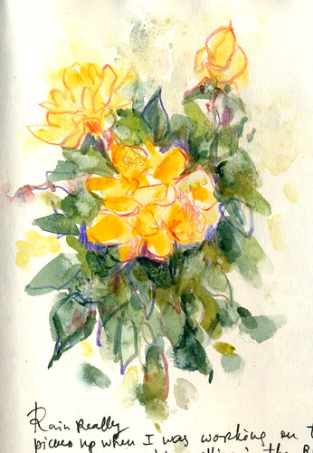 Sketchbook #90: Rain in the Rose Garden