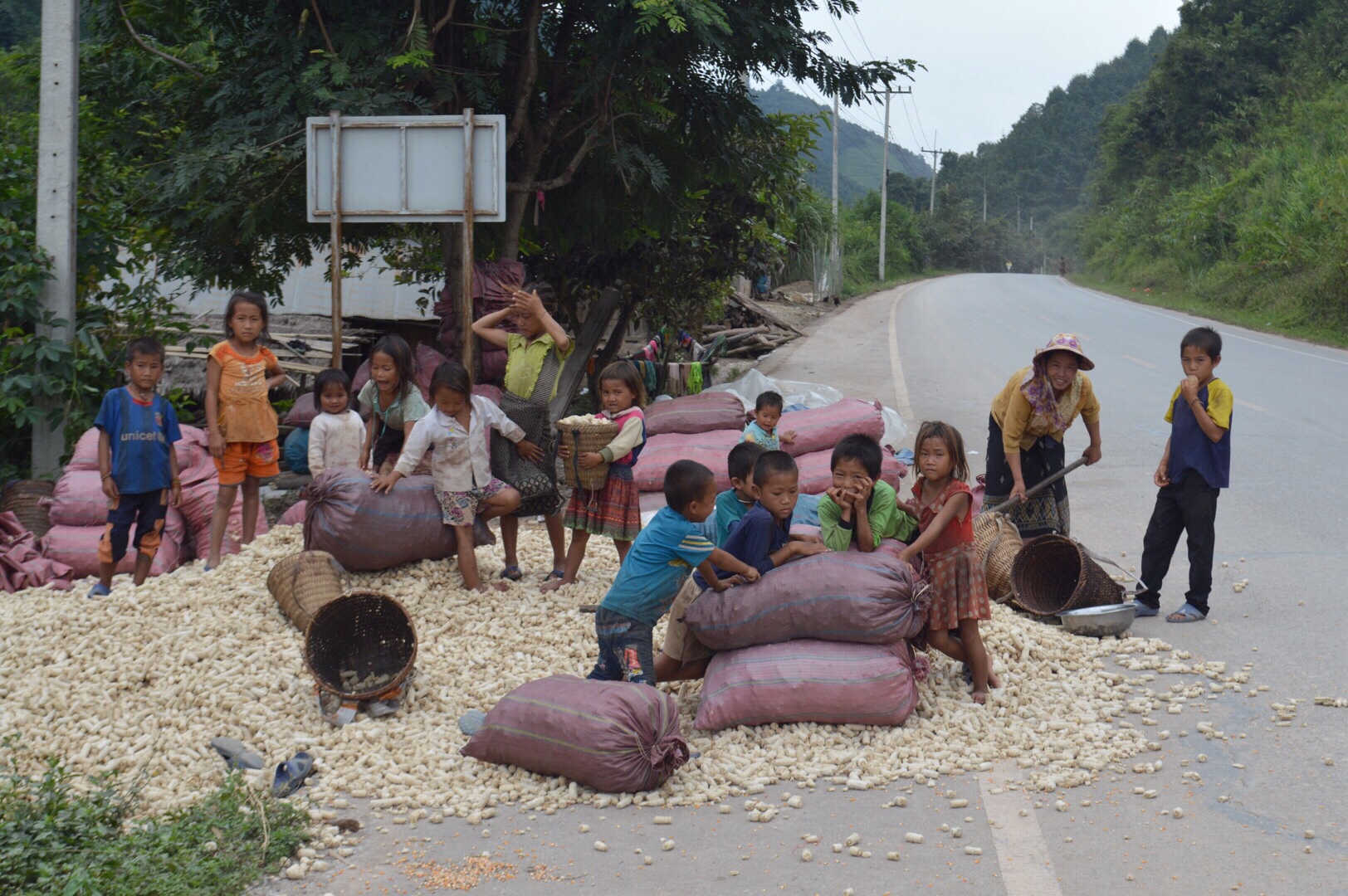 Children and their mothers working with corn in a village in Laos