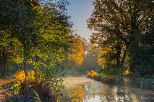 woking brookwood basingstoke canal water surrey still light reflection autumn trees mist calm sunrise early morning england country park outdoor photography michaelsowerbyphotographycom canon 5dmarkiii tree foliage wow