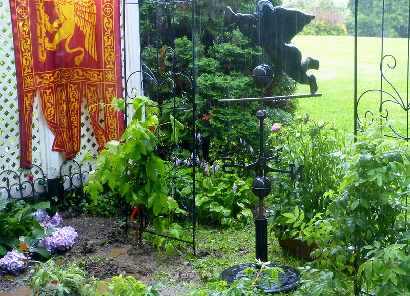Garden In The Rain