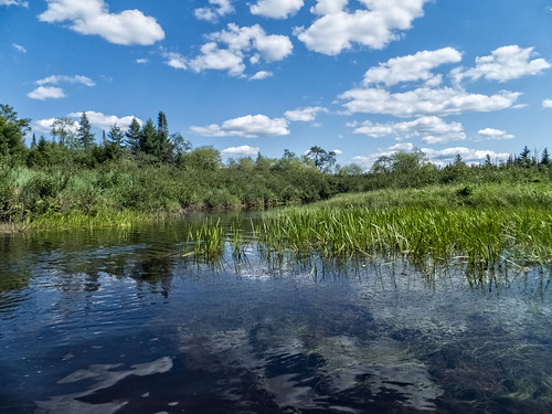 ny reflection water weather clouds river photography us marsh wetland oswegatchieriver