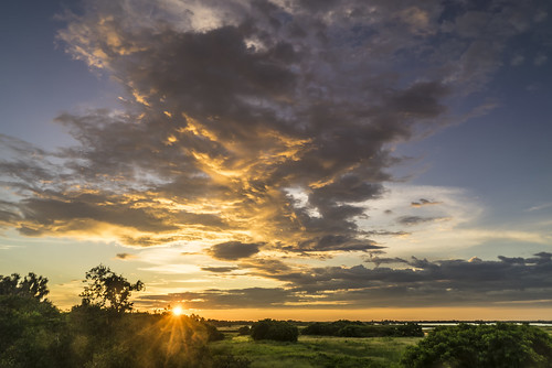 sky grass clouds sunrise us unitedstates florida palmetto landscapephotography manateecounty sonyalpha