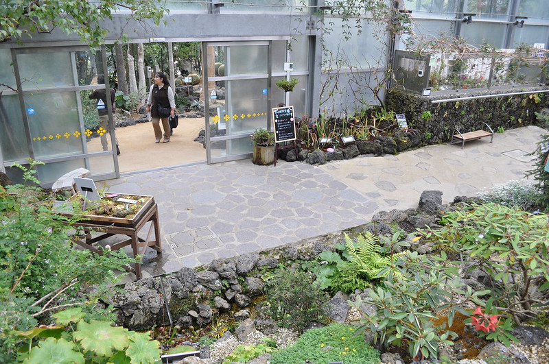 Temperate house at the Sakuya Konohana Kan botanic gardens, Osaka