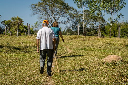 minasgerais brasil br natur brasilien orte weg fazenda formiga ortschaften länder fazendavelha