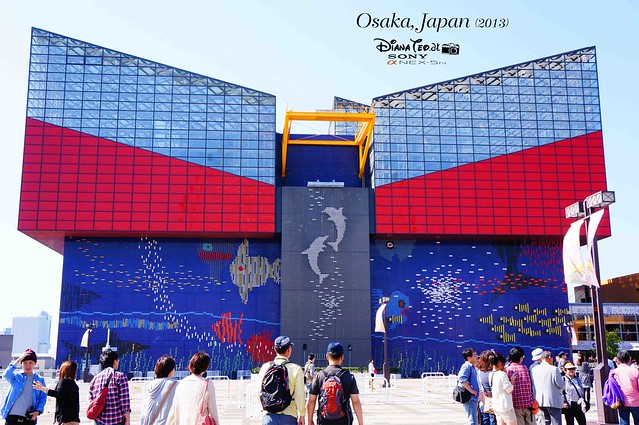 Japan - Osaka Aquarium Kaiyukan 01