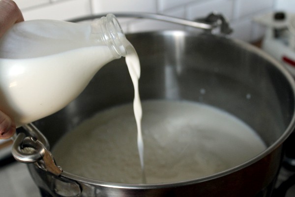 Pouring milk for cheesemaking by Misericordia