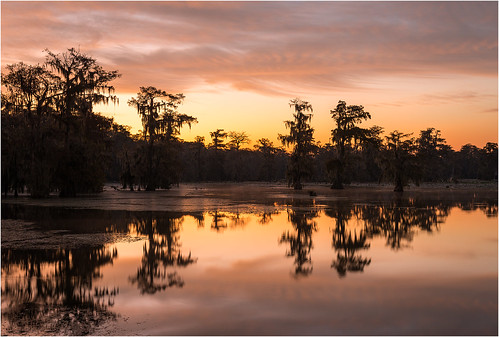 trees sky usa lake reflection nature clouds sunrise landscape dawn reflecting nikon louisiana bayou swamp spanishmoss wetlands cypress thesouth deepsouth lakemartin breauxbridge afs24120mmf4gvr d800e