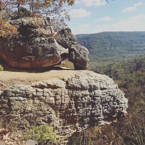 fall autumn hawksbillcrag whitakerpointtrail bluffs woodland wilderness nature adventure hiking instagramapp square squareformat iphoneography gingham