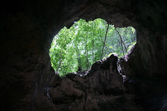 36 - Los Haitises national park - Cueva de la linea / Los Haitises Nationalpark - Cueva de la linea