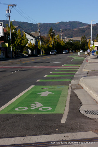 Bright Green Bike Lane