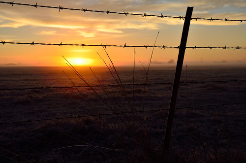 oklahoma rural sunrise fence dawn nikon frost pasture barbedwire daybreak rogerscounty d7000