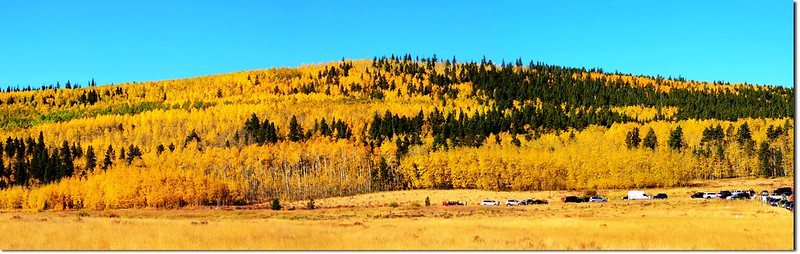 Fall colors at Kenosha Pass, Colorado (1)