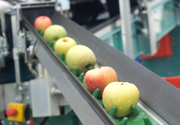 5 Apple conveyor belt