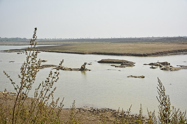 "In 1964, the Paraswani dam was built to serve the village's agricultural water needs. Out of the 55 acres of the dam catchment area, UTCL has acquired 25 acres. Due to increased mining activity, the water retention capacity of the dam has reduced by 50%", says Jagdish Lasel, Panch of Paraswani village.