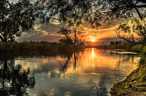 trees sunset sky sun sunlight reflection nature water clouds river landscape pentax poland waterscape sigma1750mmf28 piotrfil