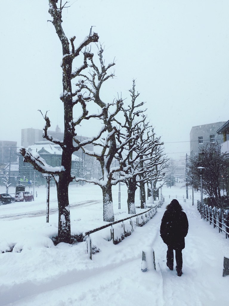 Walking in ❄ Snow