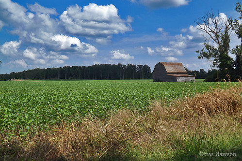 northumberland countyvirginia va usa northernneck barn soybeans farm field landscape