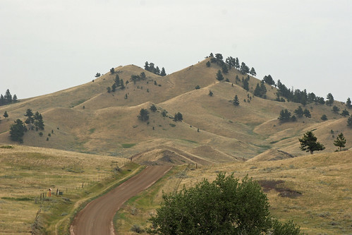 road montana 40d