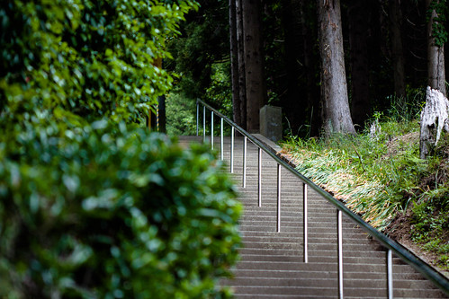 japan stairs canon temple path steps 100mm usm f28 2013 t4i infinitedivide jamespatrus