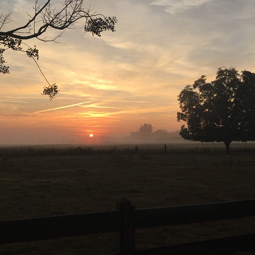 sunrise skyglory foggy alabama sky clouds hazelgreen farm farmlife