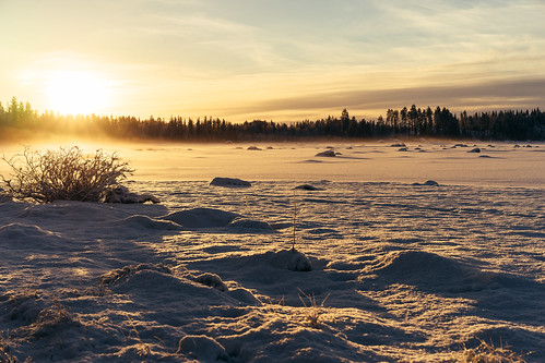 christmas winter mist snow cold zeiss frost december sweden sony 55mm 100 mm fe f18 scandinavia za 1320 a7 jämtland norrland 550 ƒ90 ilce7