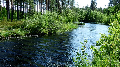 summer finland river geotagged july fin kauhava 2015 eteläpohjanmaa palojärvi 201507 20150711 geo:lat=6322878348 geo:lon=2326271038 takalahdenpäkki