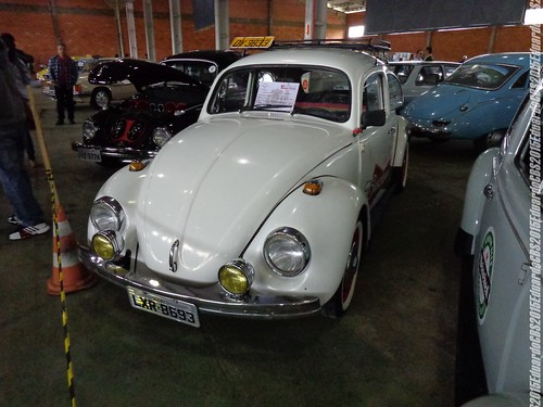 vw volkswagen beetle carros encontro exposição antigos fusca 2015 expocar curitibanos