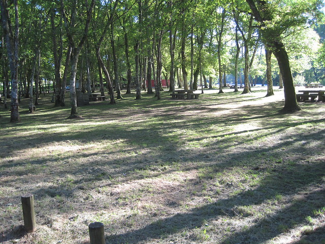 Área recreativa Campo de Santa Isabel - Outeiro de Rei