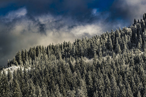 winter trees sky cloud mountain ski centrer