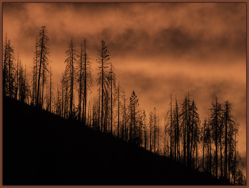 california sunset color silhouette yosemite breathtaking karith lillaskoglodge
