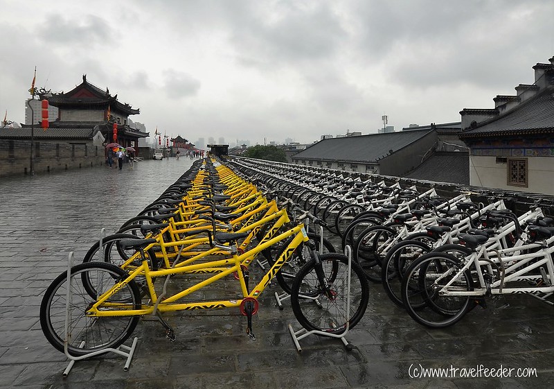 Bicycles and the Xian City Wall