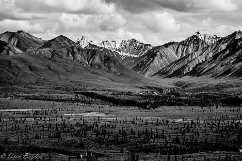 park trip trees bw snow mountains ice nature alaska clouds nationalpark view unitedstates wildlife ak palmer glacier valley 2014