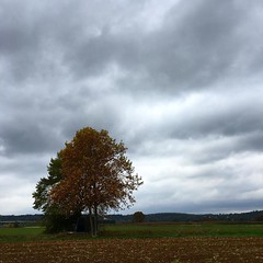 #Fall contrast. - Photo of Pourrières