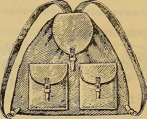 Image from page 150 of "The Canadian field-naturalist" (1924)