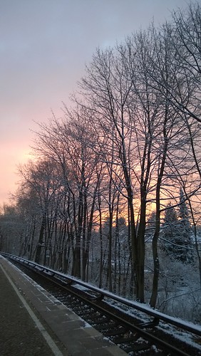 morning trees winter sun snow berlin sunrise germany early lumia waytooearly waytoocold lumia920 uploadedfromthecommute