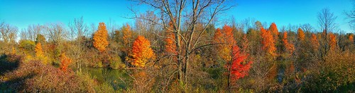 blue autumn trees red sky panorama orange brown lake green fall water colors beautiful beauty leaves yellow clouds river photography photo colorful flickr purple photograph dying chill