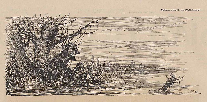 Rolf von Hoerschelmann - Trees On The Water, 1920