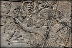 The last of the great kings of AssyriaExample:He achieved the greatest territorial expansion of the Assyrian Empire