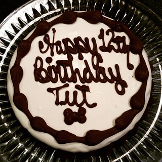 Tut's 12th birthday cake from @thebarkeryma Apple Oatmeal with yogurt frosting #dogcake #thebarkery #ilovemydogs #dogmom #dogtreats #birthday #appleoatmeal #cake #dogstagram #instadog #seniordog