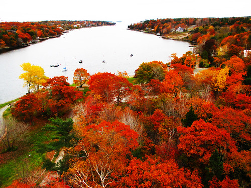 autumn sea canada color tree fall maple marine novascotia harbour ns foliage cannon halifax dingletower northwestarm