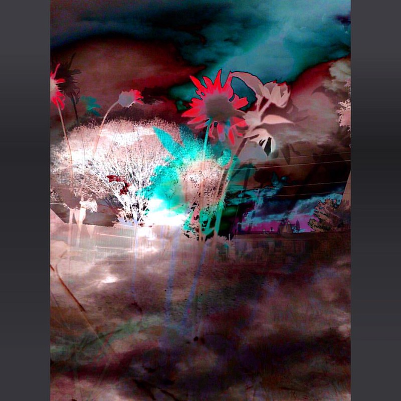 "Infrared Infusion" #infusion #infrared #digitalart #iphoneography #surrealism #surreal #unreal #abstract #abstractart #paulewing #zvuchno #PE3