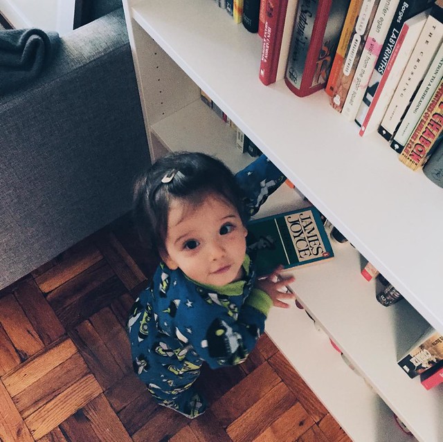 In case you're looking for a good read, Avi recommends Joyce's "Dubliners". It's not much for pictures but Avi swear sit makes up for it in content. #avigram