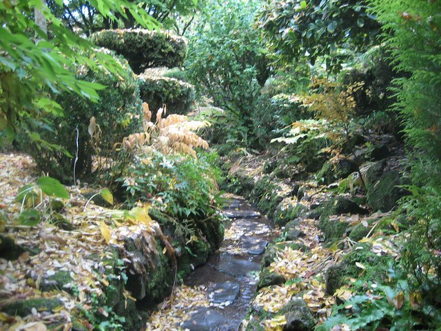 Japanese gardens in Co. Kildare