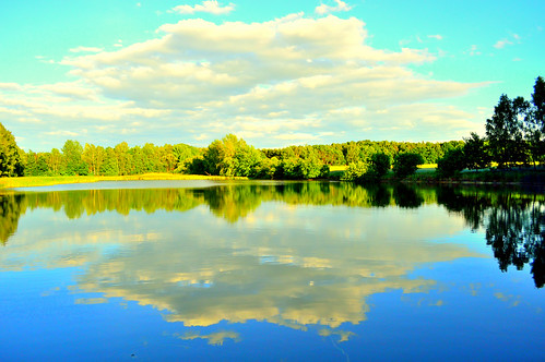 lake nature water germany landscape deutschland see nikon natur jens sachsen teich landschaft saxon heide helmecke dahlener frauwalde