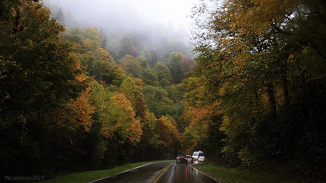 Great Smoky Mountains in the rain
