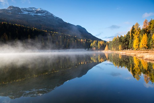 autumn lake fall fog switzerland see herbst bergsee spiegelung engadin myst stmoritz oberengadin graubünden grisons stazersee bq0a3798bearb laidastaz
