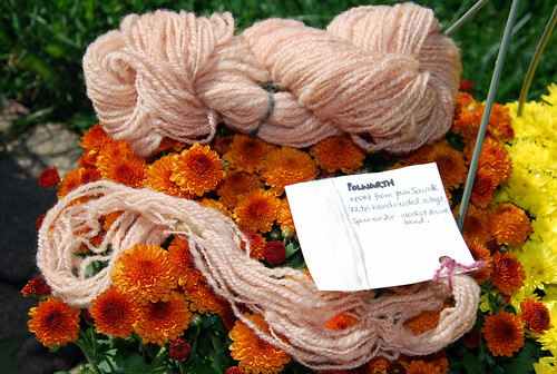 Natural dyed Polwarth handspun wool with avocado by irieknit