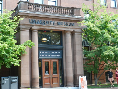 2015 July Outing Harvard Museum