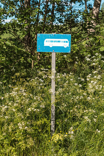 flower tree grass sign suomi finland weed artcenter orivesi bussstop mustasaari purnu skrubu pni pekkanikrus taidekeskus