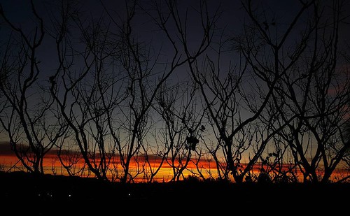 sky sunrise goldenhour cellphonephotography uploaded:by=instagram